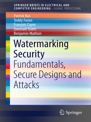 cover image of Watermarking Security